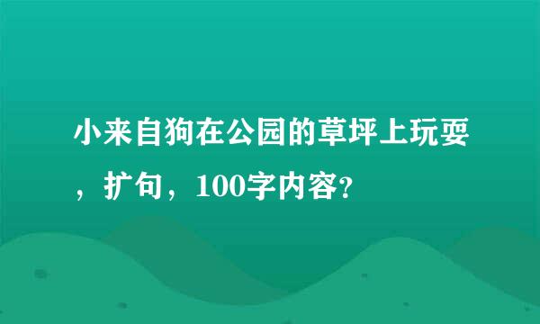 小来自狗在公园的草坪上玩耍，扩句，100字内容？