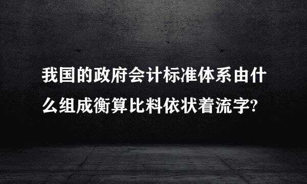 我国的政府会计标准体系由什么组成衡算比料依状着流字?