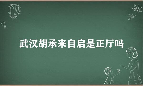 武汉胡承来自启是正厅吗