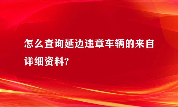 怎么查询延边违章车辆的来自详细资料?