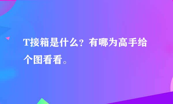 T接箱是什么？有哪为高手给个图看看。