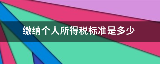 缴纳个影人所得税标准是多少