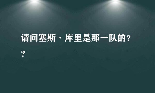 请问塞斯·库里是那一队的？？