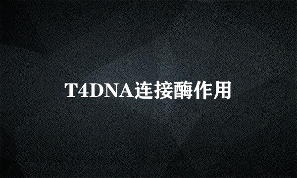 T4DNA连接酶作用