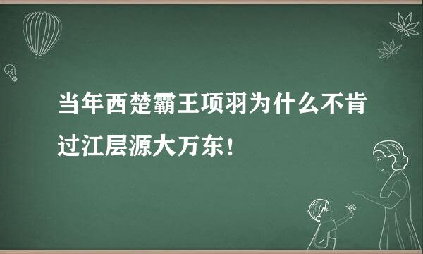 当年西楚霸王项羽为什么不肯过江层源大万东！