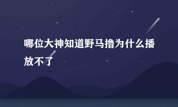 哪位大神知道野马撸为什么播放不了