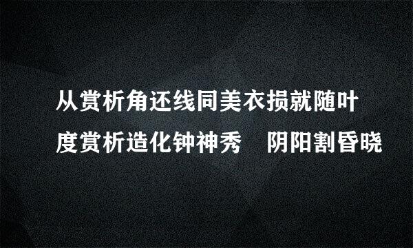 从赏析角还线同美衣损就随叶度赏析造化钟神秀 阴阳割昏晓