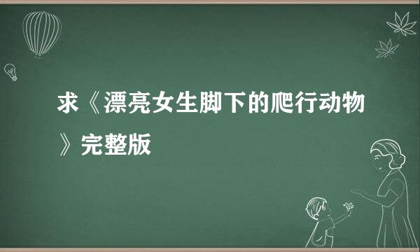 求《漂亮女生脚下的爬行动物》完整版