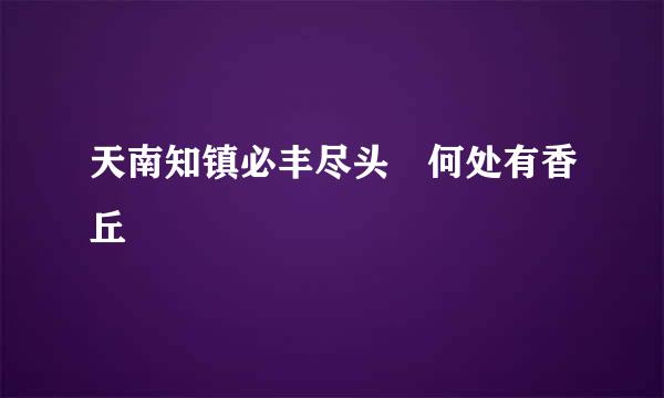 天南知镇必丰尽头 何处有香丘