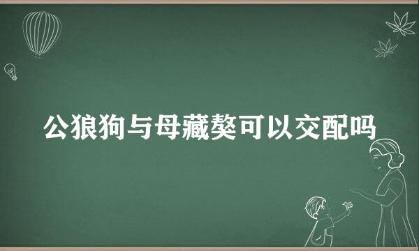 公狼狗与母藏獒可以交配吗