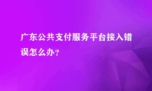 广东公共支付服务平台接入错误怎么办？