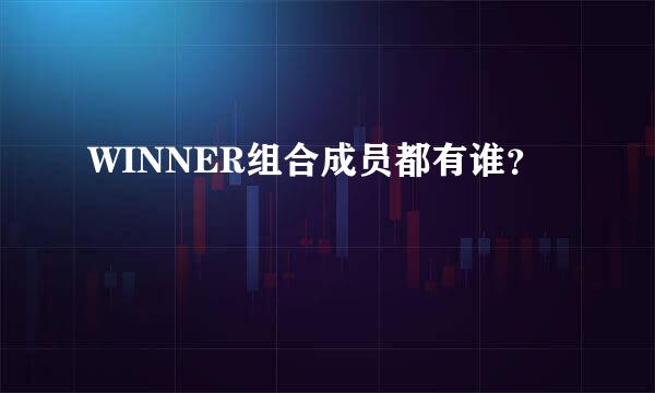 WINNER组合成员都有谁？