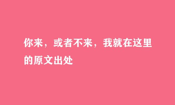 你来，或者不来，我就在这里的原文出处