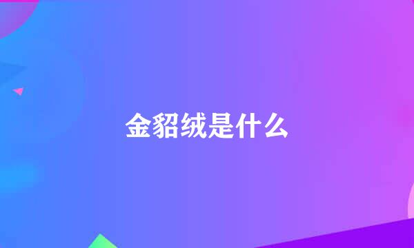 金貂绒是什么