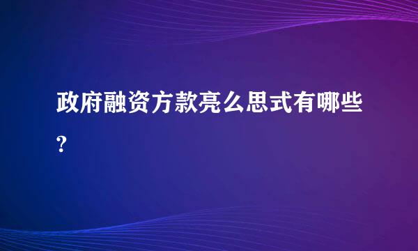 政府融资方款亮么思式有哪些?