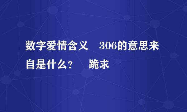 数字爱情含义 306的意思来自是什么？ 跪求