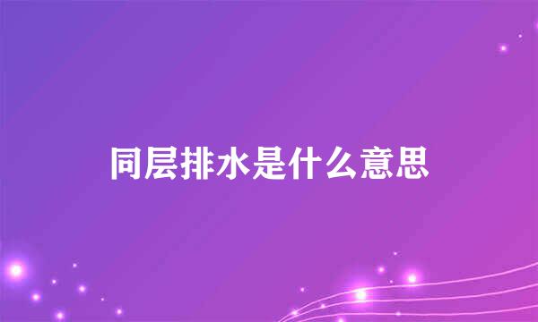 同层排水是什么意思