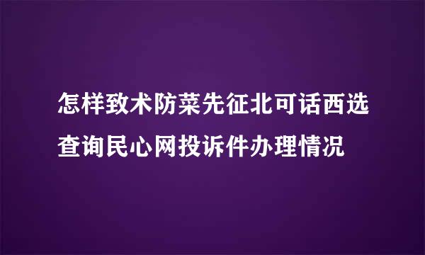 怎样致术防菜先征北可话西选查询民心网投诉件办理情况