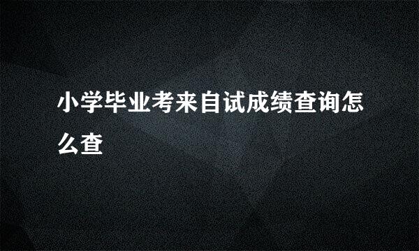 小学毕业考来自试成绩查询怎么查