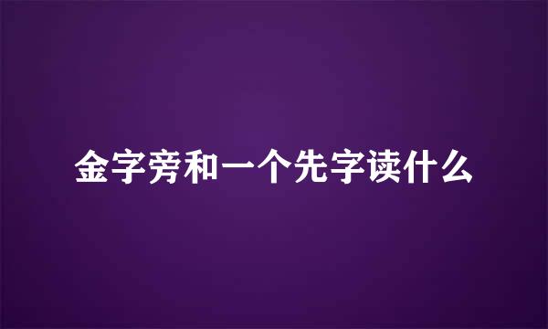 金字旁和一个先字读什么