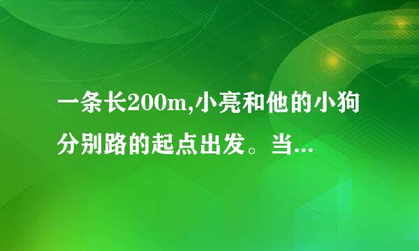 一条长200m,小亮和他的小狗分别路的起点出发。当小亮走来自到这条马路一半的时候，小狗已经到达了马路的