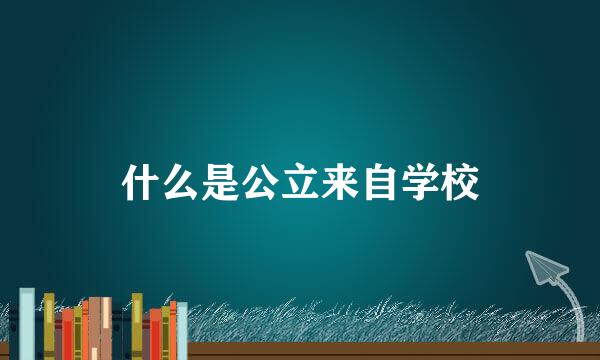 什么是公立来自学校