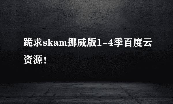 跪求skam挪威版1-4季百度云资源！