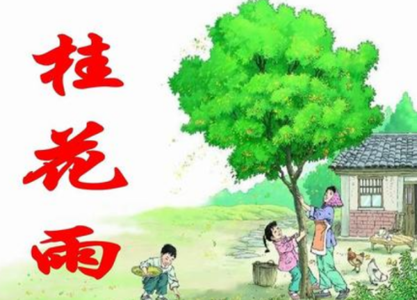 曹文轩的《桂花雨》主要内容。