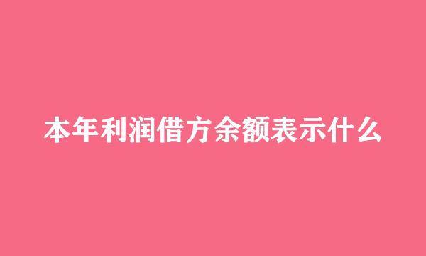 本年利润借方余额表示什么