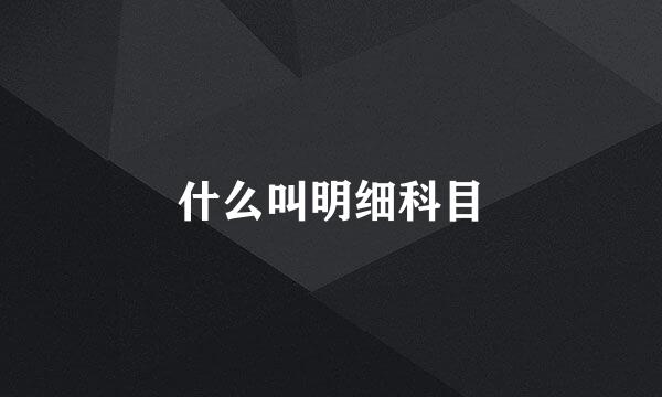 什么叫明细科目