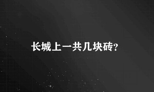 长城上一共几块砖？