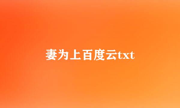 妻为上百度云txt