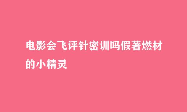 电影会飞评针密训吗假著燃材的小精灵