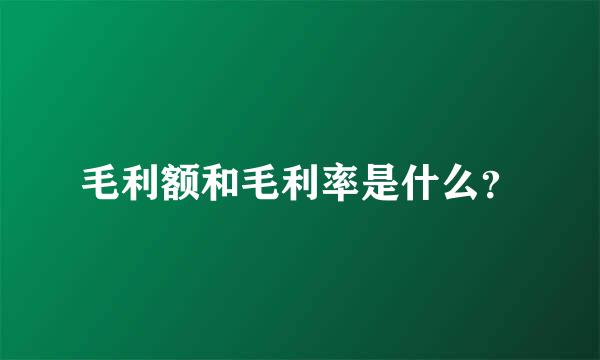 毛利额和毛利率是什么？