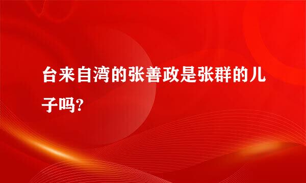 台来自湾的张善政是张群的儿子吗?