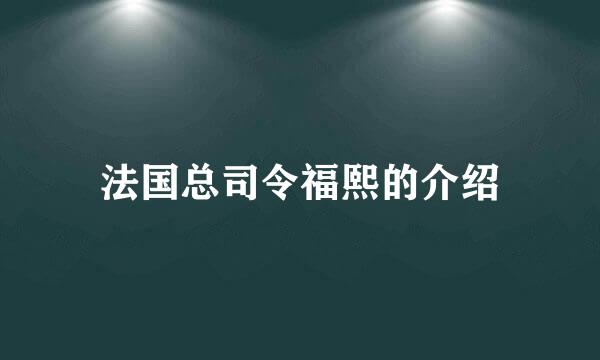 法国总司令福熙的介绍