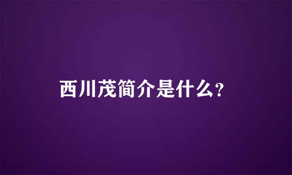 西川茂简介是什么？