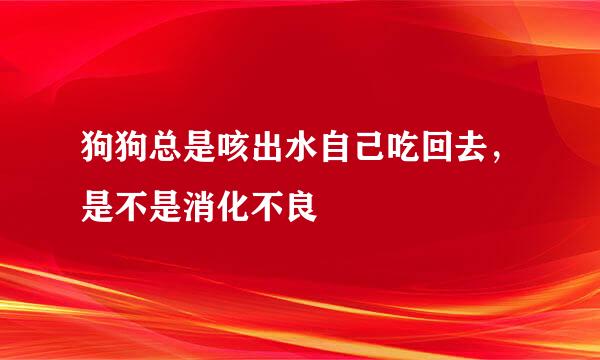 狗狗总是咳出水自己吃回去，是不是消化不良