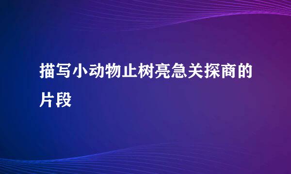 描写小动物止树亮急关探商的片段