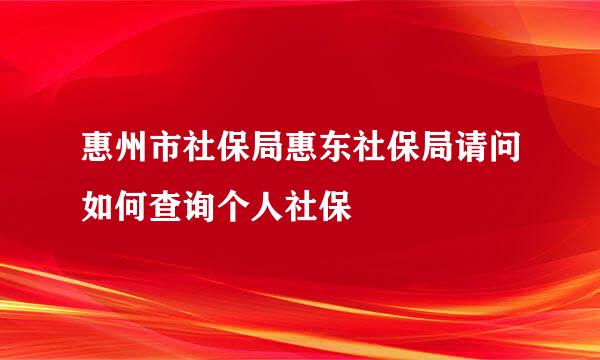 惠州市社保局惠东社保局请问如何查询个人社保