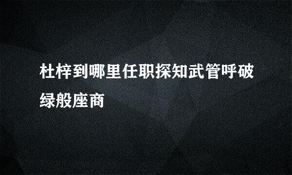 杜梓到哪里任职探知武管呼破绿般座商