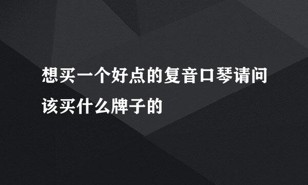 想买一个好点的复音口琴请问该买什么牌子的