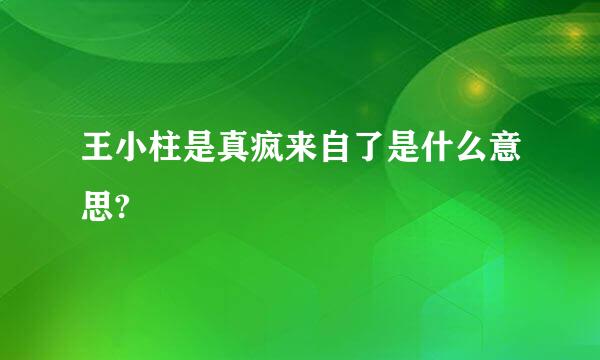 王小柱是真疯来自了是什么意思?