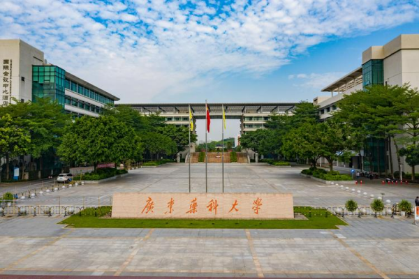 广州大学城有哪些大学?