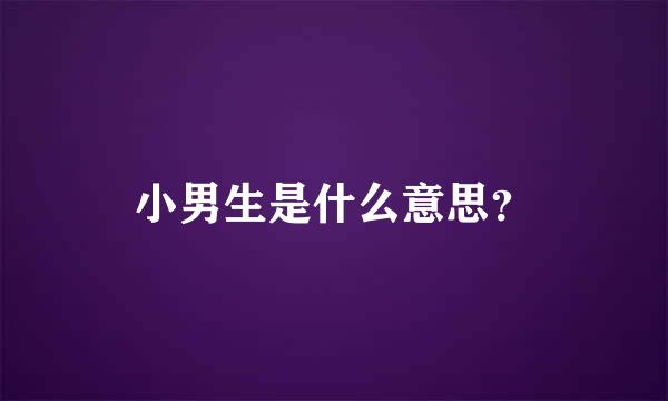 小男生是什么意思？