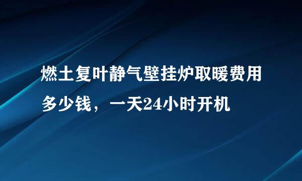 燃土复叶静气壁挂炉取暖费用多少钱，一天24小时开机