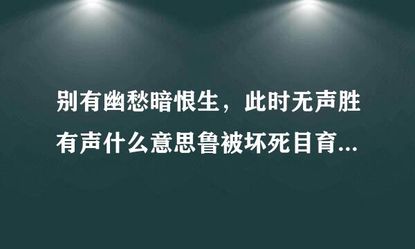 别有幽愁暗恨生，此时无声胜有声什么意思鲁被坏死目育准请？？