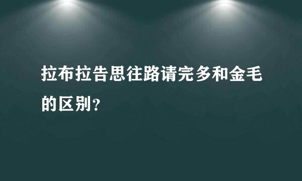 拉布拉告思往路请完多和金毛的区别？