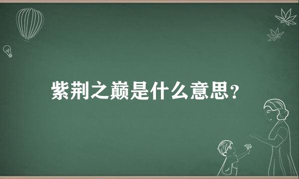 紫荆之巅是什么意思？