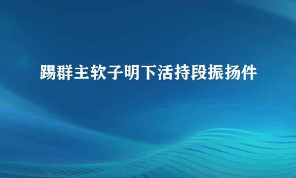 踢群主软子明下活持段振扬件